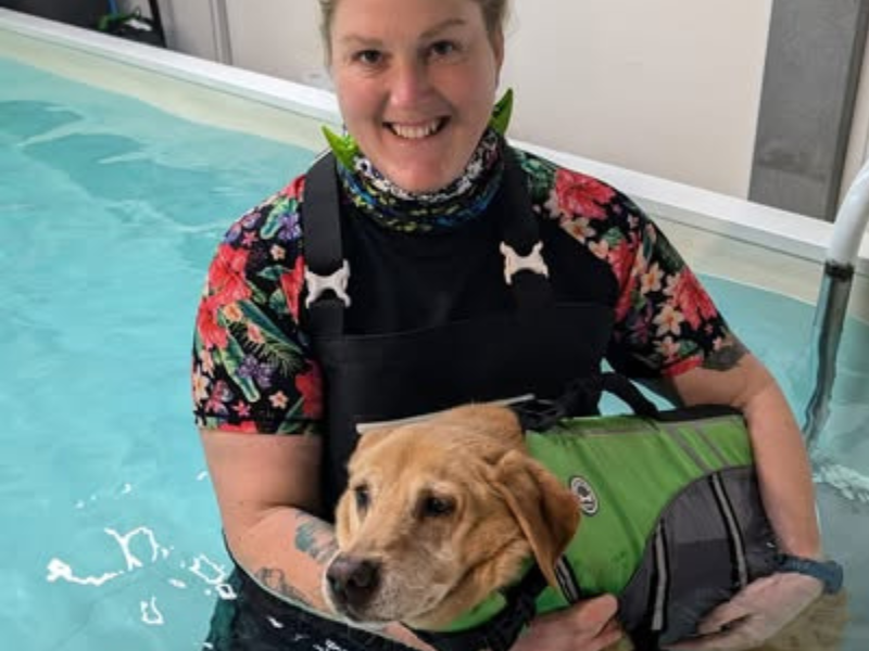 Pool4dogs Hydro Pool getting in with Roz