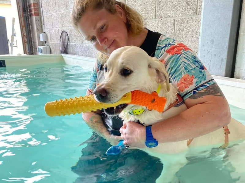 Pool4dogs Hydro Pool with toys
